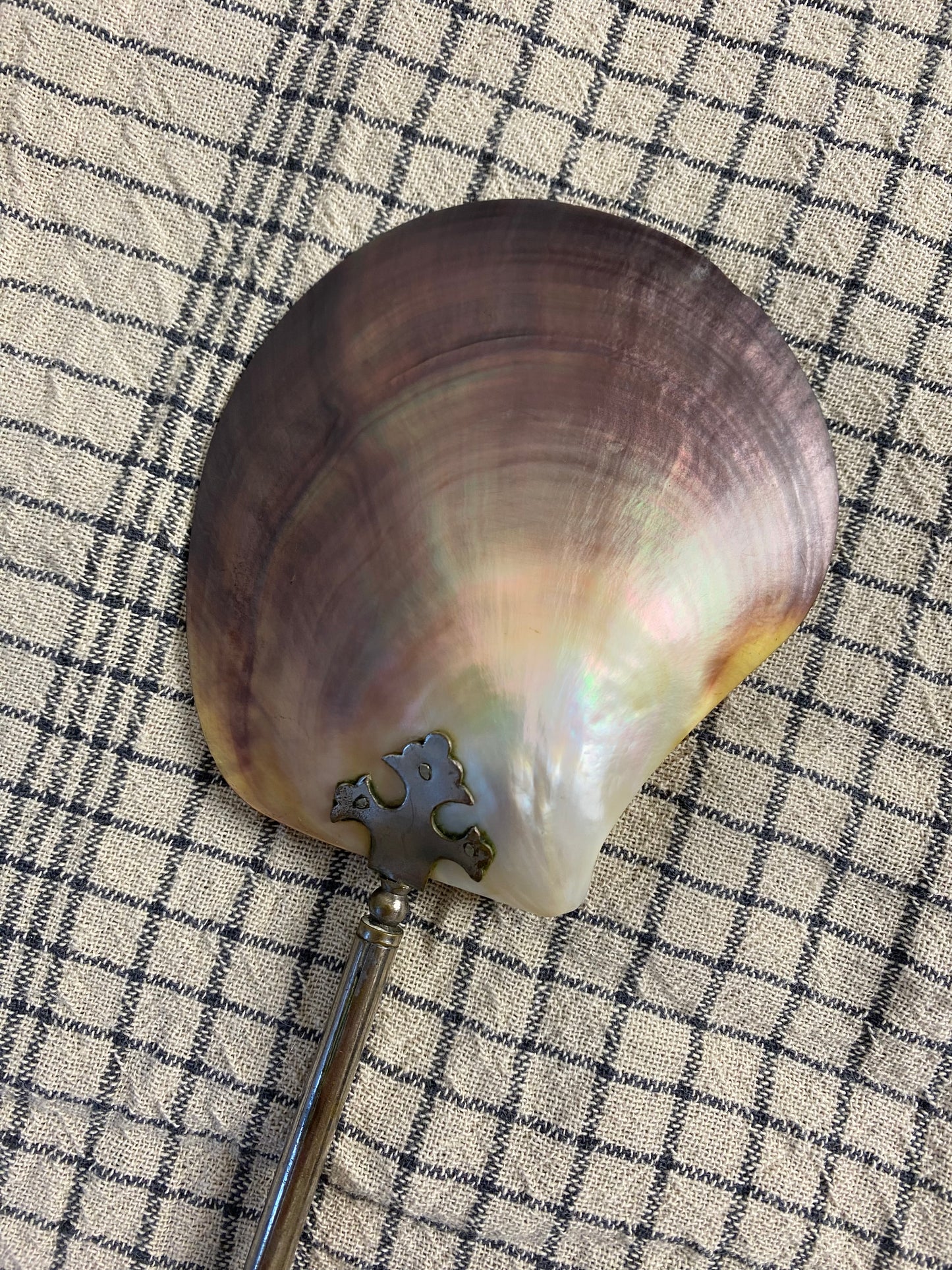Antique Shell Spoon