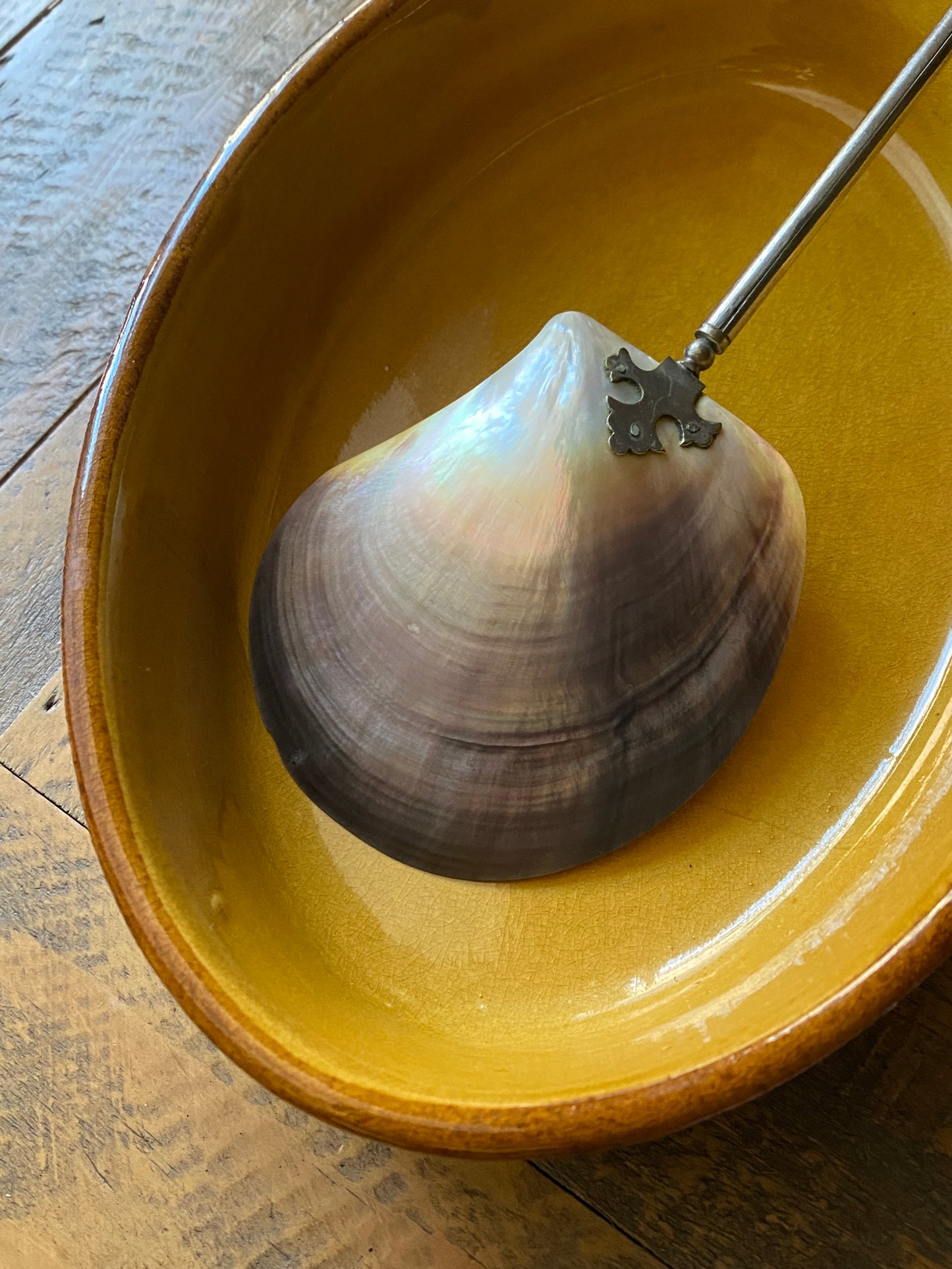 Antique Shell Spoon