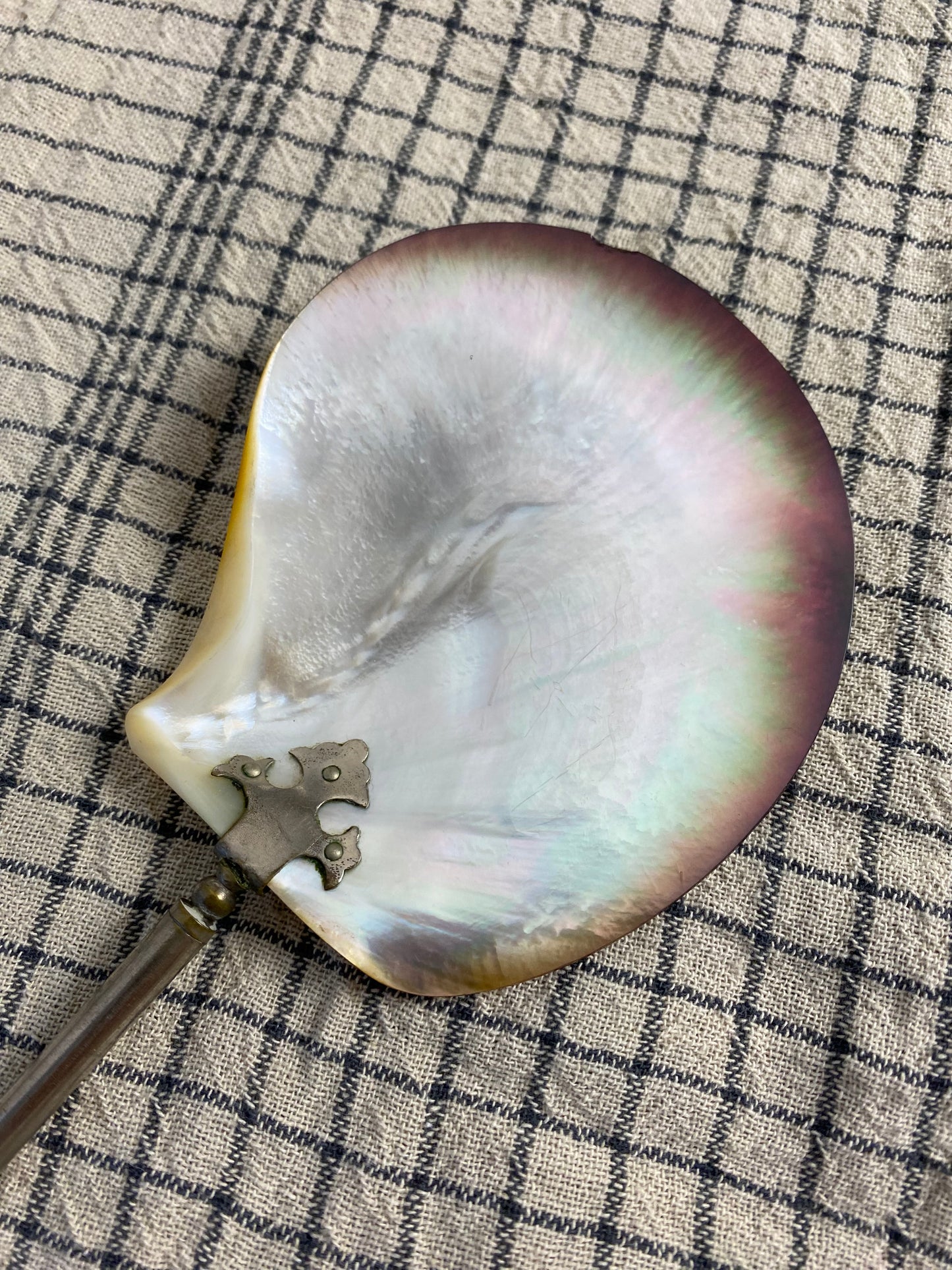 Antique Shell Spoon