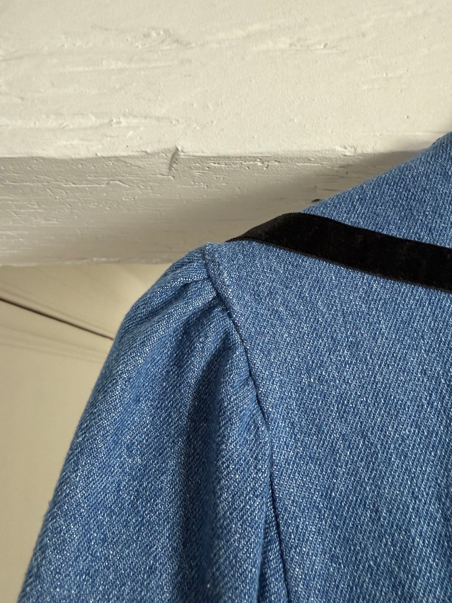 BATSHEVA Denim Dress with Velvet Details