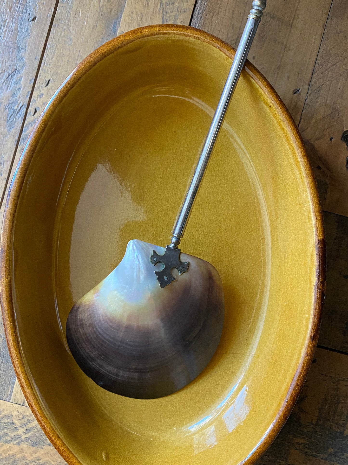 Antique Shell Spoon