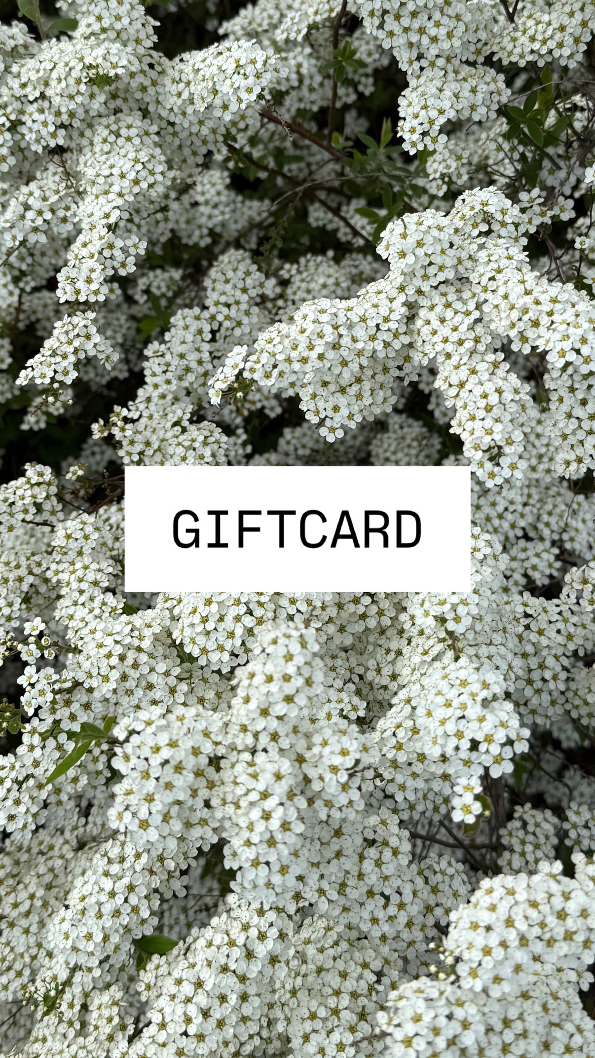 GIFTCARD