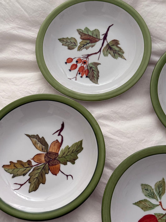 Vintage Winterling Bavaria Botanical Plates Set of 4