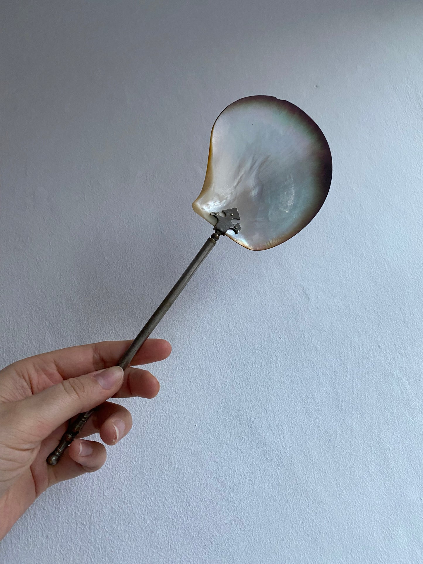 Antique Shell Spoon