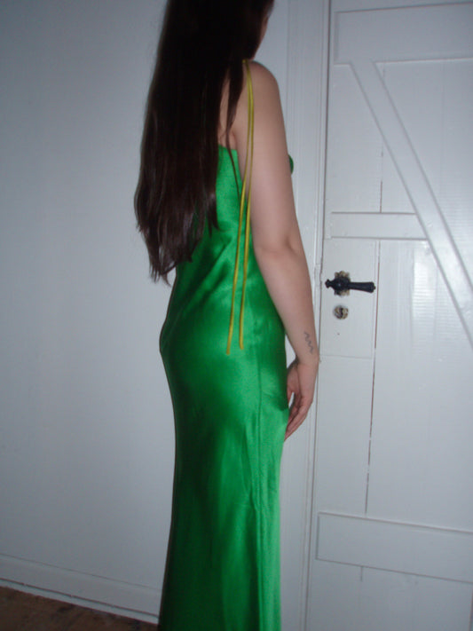 Dannijo Green Dress