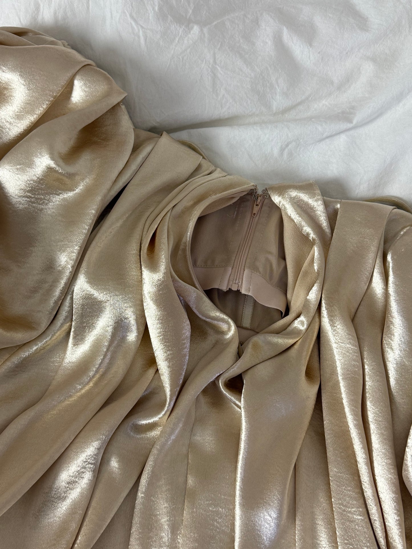 Caroline Constas Palmer Dress in Champagne