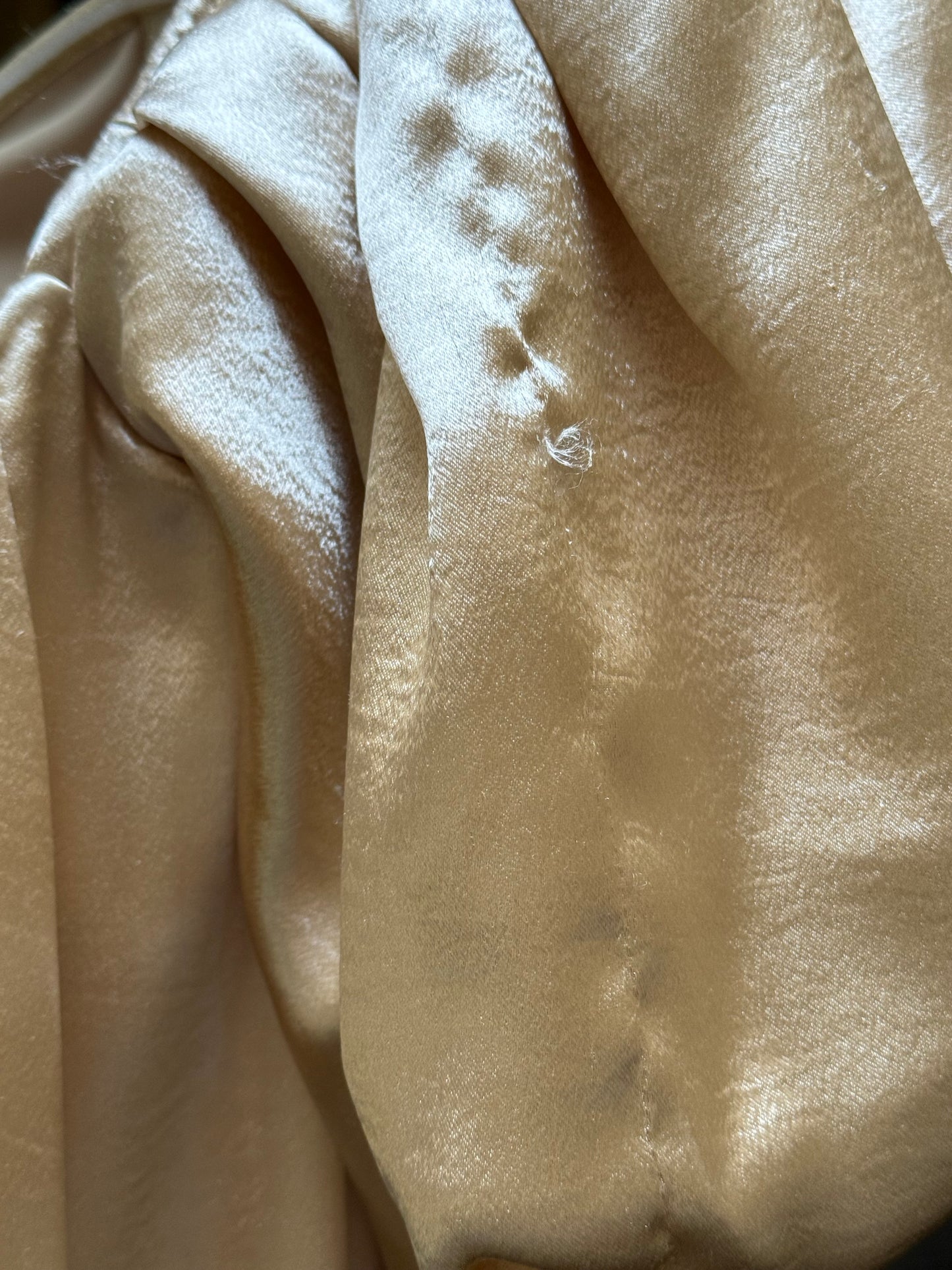 Caroline Constas Palmer Dress in Champagne