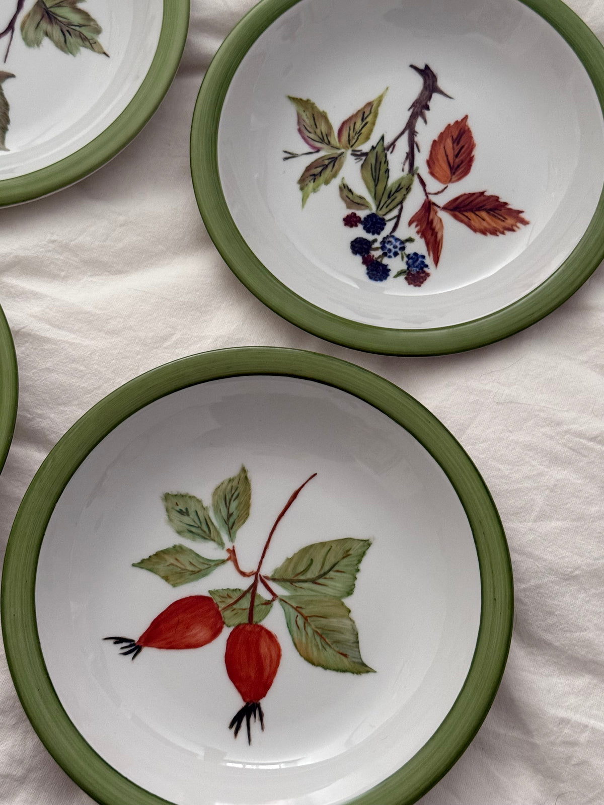 Vintage Winterling Bavaria Botanical Plates Set of 4