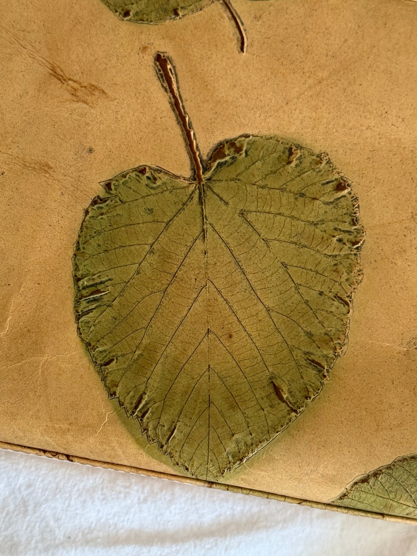 Vintage Leather Shoulder Bag and Matching Wallet with Pressed Leaves