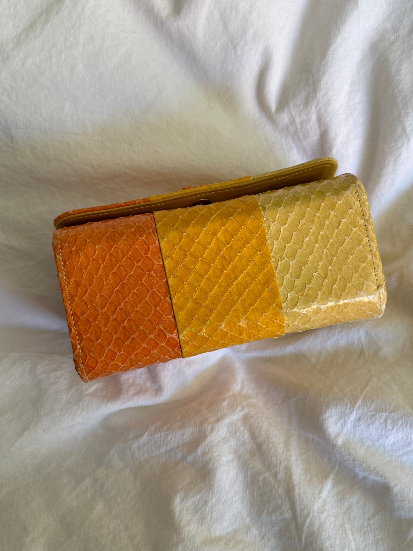 Vintage Rare Sunset Python Leather Beaded Chain Clutch Bag