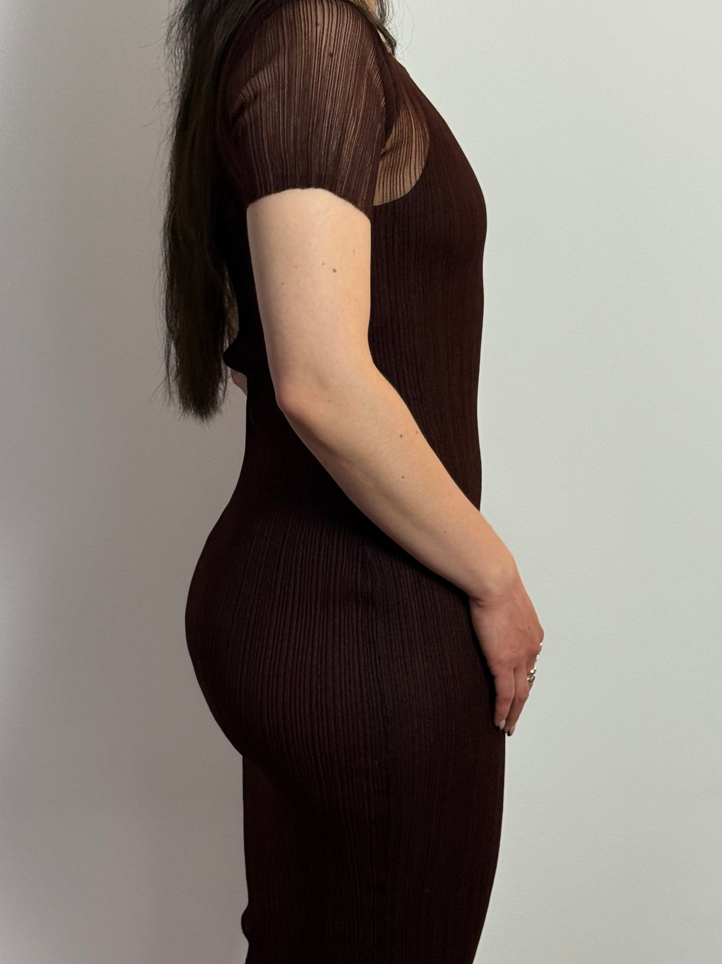 Simkhai Sheer Pleated Ruffle Hem Bodycon Chocolate Maxi Dress