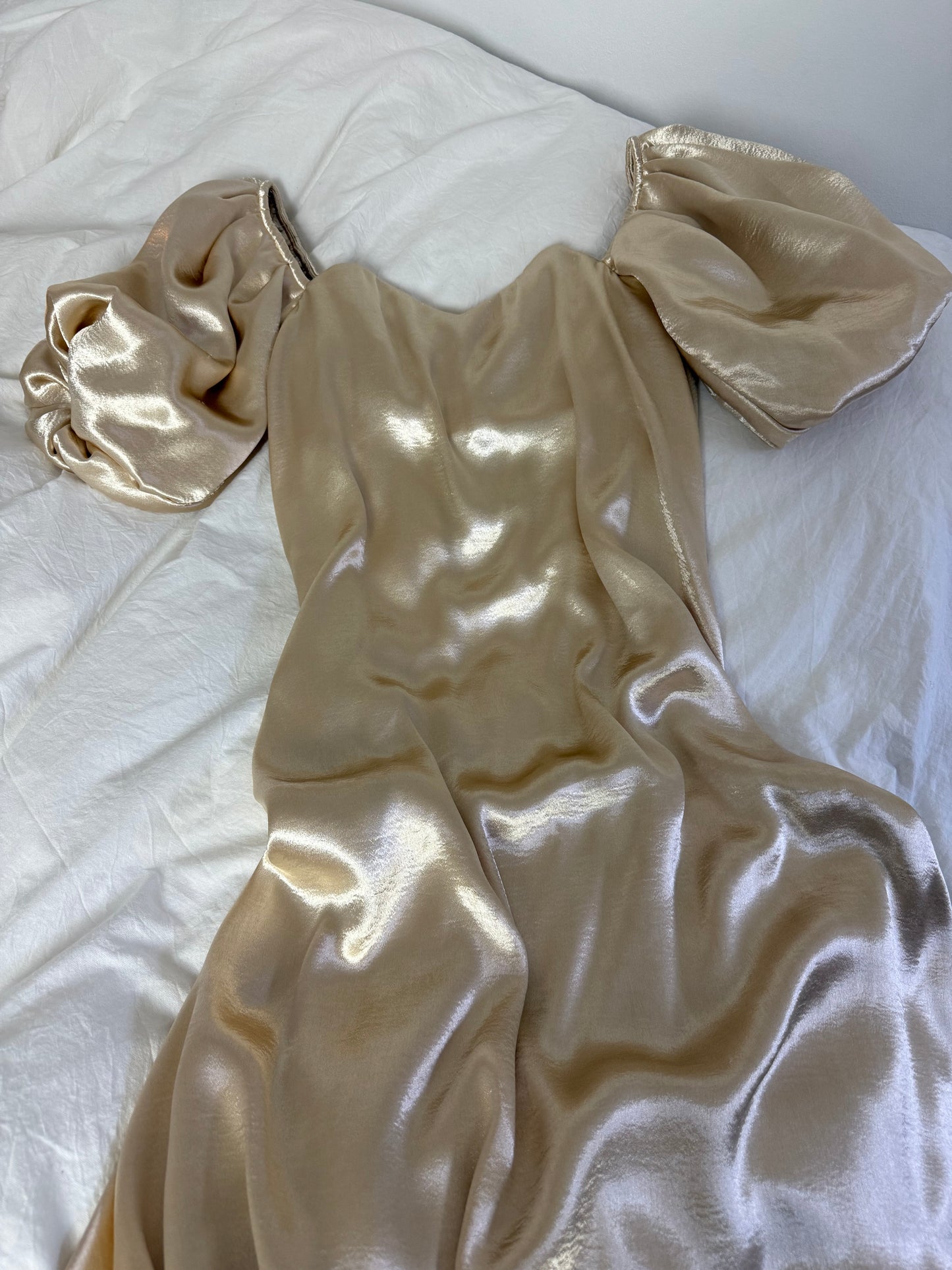 Caroline Constas Palmer Dress in Champagne